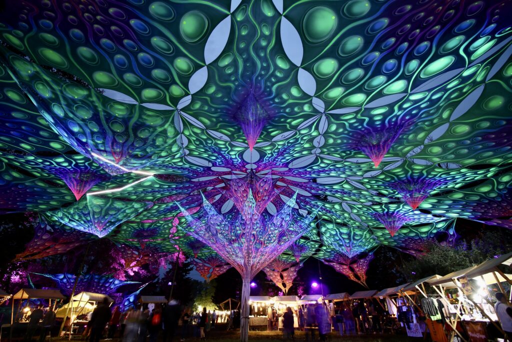 Tbilisi Open Air / Georgia 8 IMG 2656