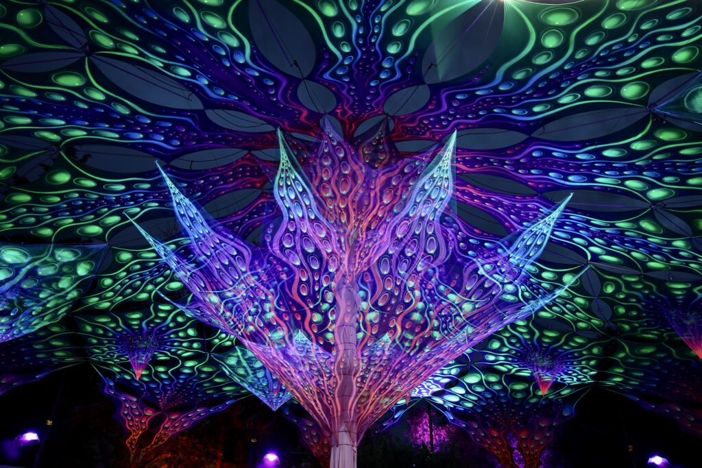 Tbilisi Open Air / Georgia 9 IMG 2686