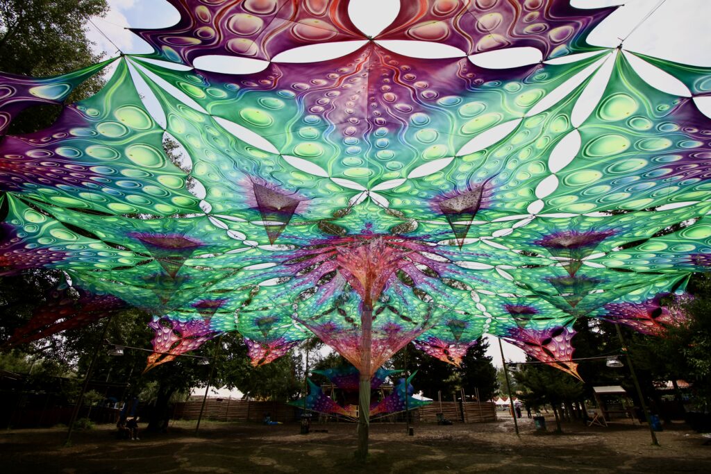 Tbilisi Open Air / Georgia 4 IMG 2784