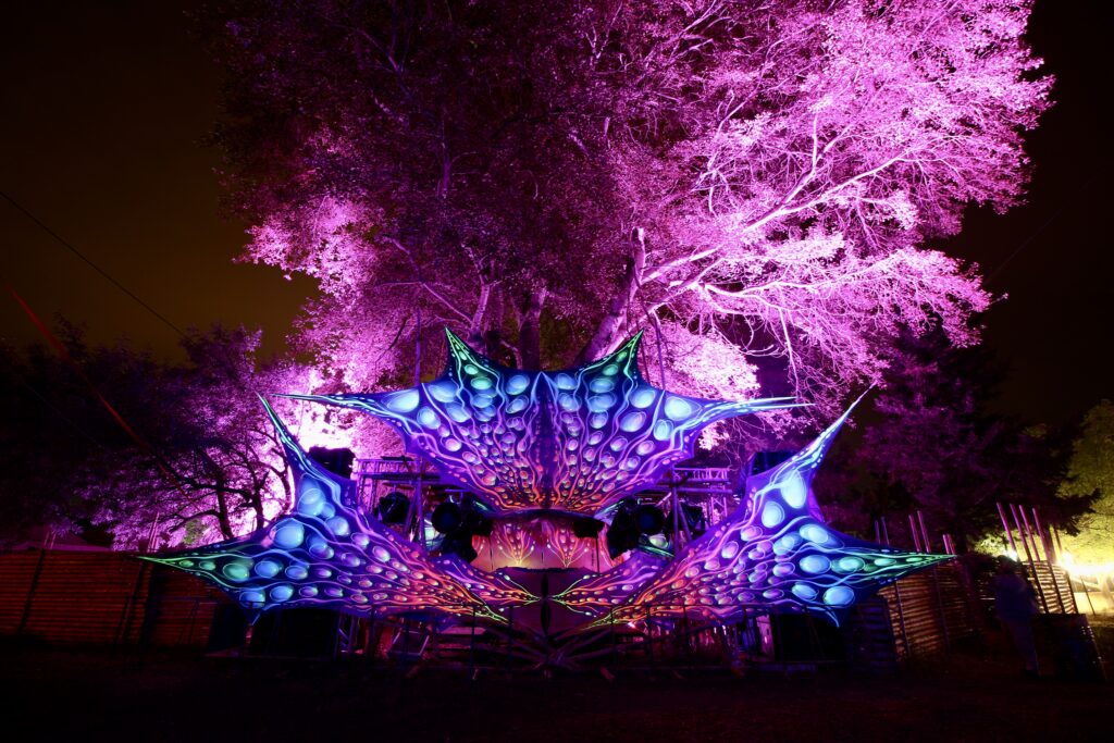 Tbilisi Open Air / Georgia 6 IMG 2765